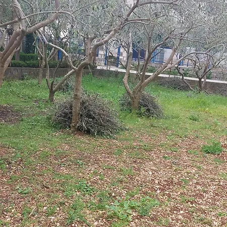 With Parking Space - 23129 *